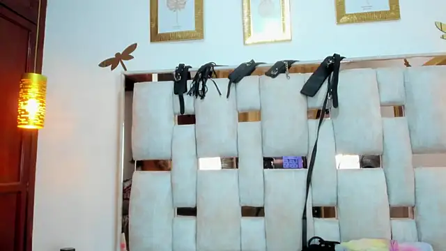 Snapshot of Braylen_Sanchez chatting on 12/20/25, 03:08 Braylen Sanchez online show from 12/20/25, 03:08