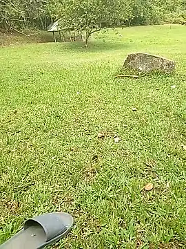 Mycansonhot online show from 10/23/25, 04:50