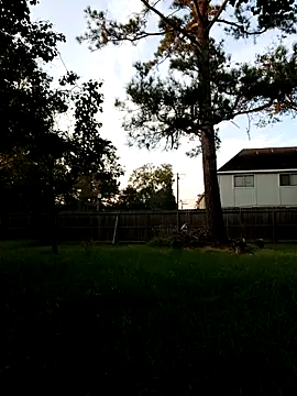 HTXBELLE online show from 09/13/25, 11:59