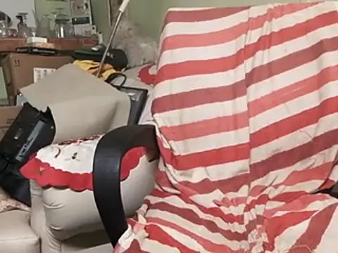 calme odl1 online show from 02/09/25, 03:34