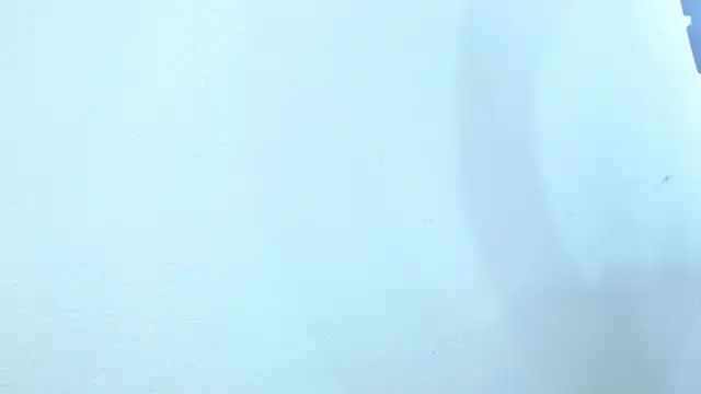 sebastian colle online show from 02/26/25, 03:08