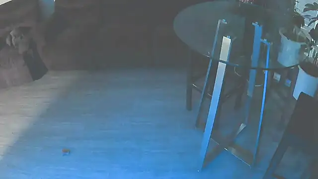 Snapshot of Fuckmehardandcloudy chatting on 01/18/26, 11:41 Fuckmehardandcloudy online show from 01/18/26, 11:41