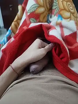 Delhi BoyBigcock online show from 11/10/25, 04:28