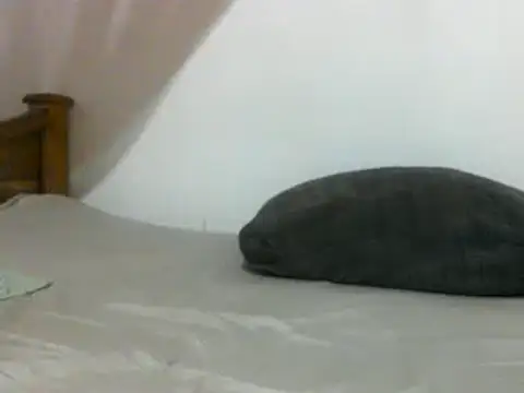 Snapshot of sissydinu chatting on 02/28/25, 06:10 sissydinu online show from 02/28/25, 06:10
