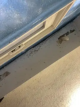 Snapshot of YODAPESOS chatting on 02/23/26, 12:57 YODAPESOS online show from 02/23/26, 12:57