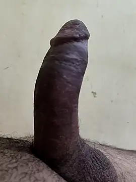 Snapshot of alkhabiir chatting on 11/25/25, 06:08 alkhabiir online show from 11/25/25, 06:08