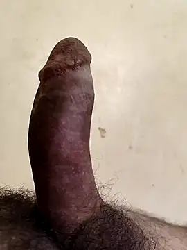 Snapshot of alkhabiir chatting on 02/14/26, 03:31 alkhabiir online show from 02/14/26, 03:31