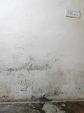 Snapshot of pallu_telgu_kannada chatting on 03/04/26, 05:30 pallu telgu kannada online show from 03/04/26, 05:30