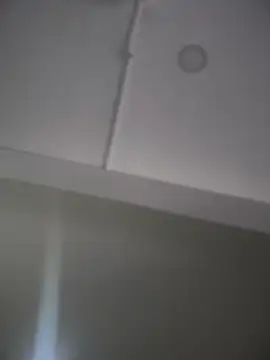 Snapshot of Mila_LS chatting on 11/26/25, 12:50 Mila LS online show from 11/26/25, 12:50