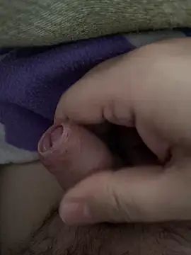 Snapshot of littletoy64 chatting on 02/07/26, 08:07 littletoy64 online show from 02/07/26, 08:07