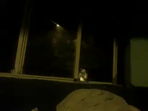 Ladyzee25 online show from 07/08/26, 03:33