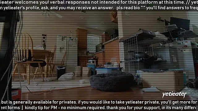 yetieater online show from 06/24/26, 04:17