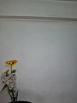 Noor-Bold online show from 11/07/25, 02:00