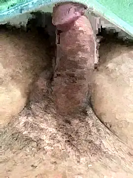 Snapshot of Iliase chatting on 11/15/25, 09:17 Iliase online show from 11/15/25, 09:17