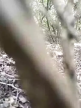 Snapshot of CertifiedSatisfier chatting on 11/12/25, 10:37 CertifiedSatisfier online show from 11/12/25, 10:37