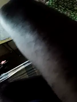 Snapshot of PolarFriend0 chatting on 02/14/26, 04:37 PolarFriend0 online show from 02/14/26, 04:37