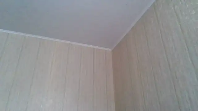 Snapshot of _Black-Panther_ chatting on 05/21/26, 11:17 Black-Panther online show from 05/21/26, 11:17
