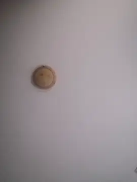 yourflowerpink online show from 11/29/25, 08:28