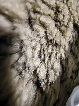 Snapshot of ikeike-kun chatting on 12/02/25, 01:33 ikeike-kun online show from 12/02/25, 01:33