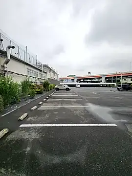 ikeike-kun online show from 06/29/26, 01:23