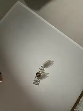 maar tina online show from 10/13/25, 09:59