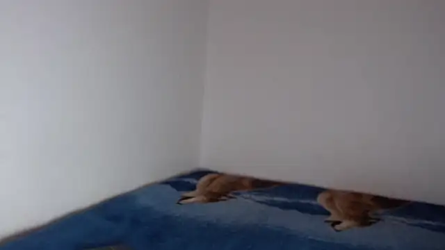 sharon sexy  online show from 11/23/25, 08:41