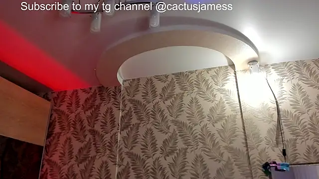 Snapshot of Cactus__James chatting on 12/21/25, 02:57 Cactus James online show from 12/21/25, 02:57