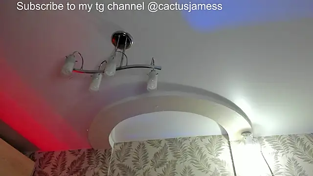 Snapshot of Cactus__James chatting on 02/21/26, 08:10 Cactus James online show from 02/21/26, 08:10