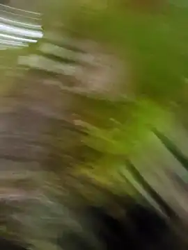 Snapshot of Pichoneterno chatting on 03/08/26, 12:09 Pichoneterno online show from 03/08/26, 12:09