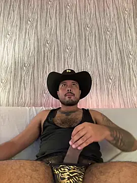 Snapshot of PapiStan chatting on 02/03/26, 02:53 PapiStan online show from 02/03/26, 02:53