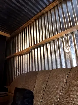 Thenaughtyboy360 online show from 12/21/25, 10:06