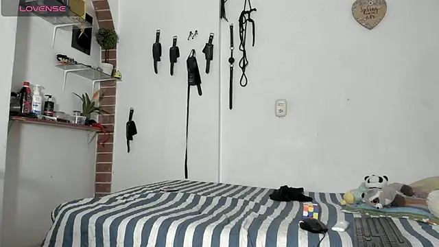 Snapshot of morbo_total69 chatting on 03/11/26, 10:16 morbo total69 online show from 03/11/26, 10:16