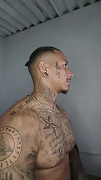 David tatto1 online show from 05/17/26, 04:54