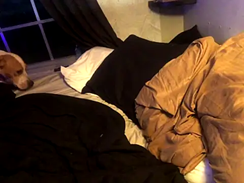 lilthicky352 online show from 12/01/25, 12:15