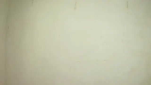 SelenaKayle online show from 10/24/25, 04:14