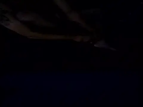 Snapshot of Crossedsissy chatting on 12/15/25, 05:34 Crossedsissy online show from 12/15/25, 05:34