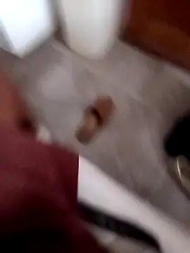 Snapshot of Dark5horse chatting on 06/17/26, 06:49 Dark5horse online show from 06/17/26, 06:49