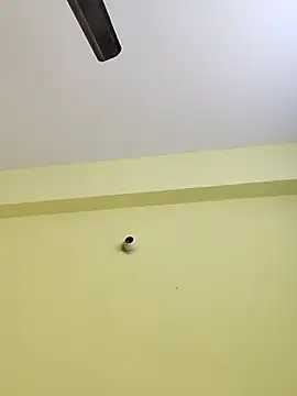 radhika2 online show from 11/17/25, 08:03