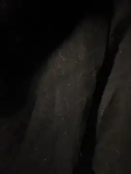 pikuslordpll online show from 12/23/25, 08:12