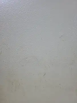 titooritax online show from 11/01/25, 11:29