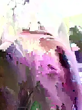 agusttt2667 online show from 01/12/26, 05:12