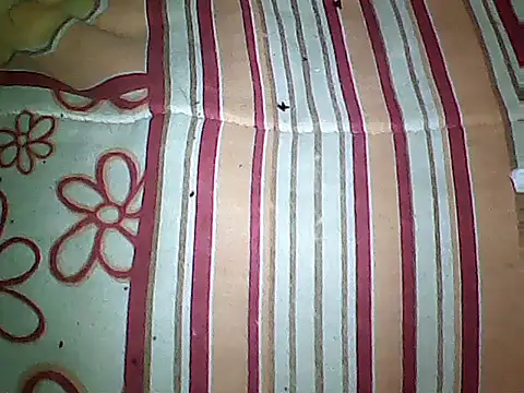 20cmloiro online show from 09/16/25, 03:51