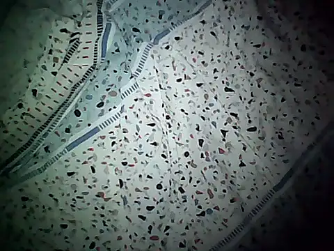 Snapshot of 20cmloiro chatting on 11/08/25, 11:32 20cmloiro online show from 11/08/25, 11:32