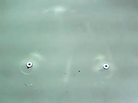 Snapshot of 20cmloiro chatting on 01/15/26, 12:59 20cmloiro online show from 01/15/26, 12:59