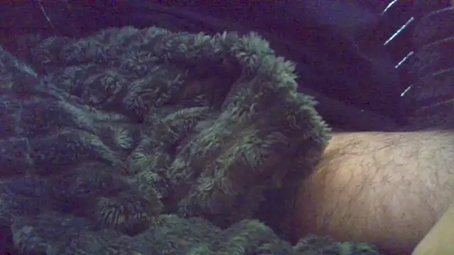 HairyHornyTwinkx online show from 10/18/25, 08:04