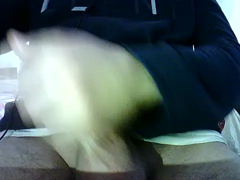 Snapshot of photo3995 chatting on 01/12/26, 09:47 photo3995 online show from 01/12/26, 09:47