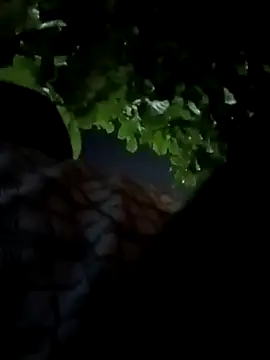 Snapshot of Rajopensex_955 chatting on 03/21/26, 06:22 Rajopensex 955 online show from 03/21/26, 06:22