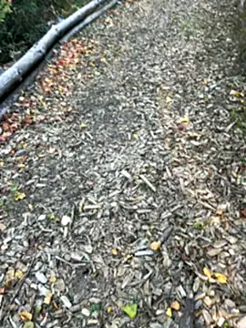 Mlkrrp online show from 10/10/25, 04:28