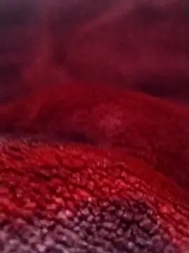 Snapshot of saneer69tew chatting on 02/26/26, 06:12 saneer69tew online show from 02/26/26, 06:12