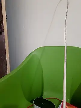 Snapshot of AnkitaDevi chatting on 01/19/26, 11:03 AnkitaDevi online show from 01/19/26, 11:03